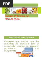 Presentacion Manual Buenas Practicas de Manufactura