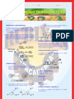 Ángulo Trigonométrico - Teoría