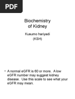 Renal Biochemistry