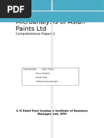 Microanalysis of Asian Paints LTD