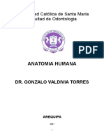 Anatomia Humana General Odontologia