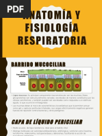 Anatomía y Fisiología Respiratoria