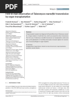 First - in - Man Observation of Talaromyces Marneffei-Transmission by Organ Transplantation