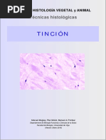 Tecnicas Tincion PDF