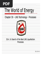 30D - in Search of The Best LNG Liquefaction Processes