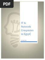 It Network Companies in Egypt