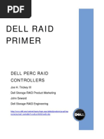 Raid Primer WP