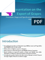 Export Project On Grapes 97