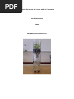 Effect To The Amount of Carbon Inside of Eco Column