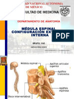 Medula Espinal