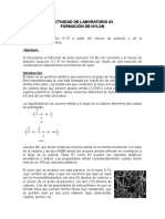 Actividad de Laboratorio 3 Nylon