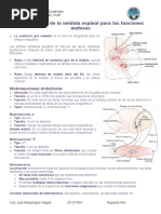 Cap 54, Funciones Motoras de La Médula Espinal