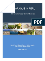 Asparagus Cluster - Final Report PDF