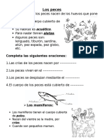 Guia Vertebrados e Invertebrados