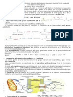 TEMA 45 Beta-Oxidación