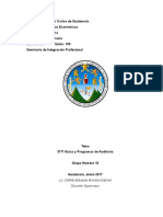 37ti Guias y Programas de Auditoria