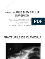 Acturile Membrului Superior