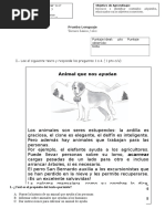 Prueba Lenguaje Conectores y Adjetivos