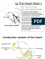 Cardiac Cycle