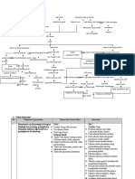 Pathway Nic Noc CKD