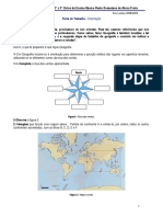 7º Ano - Teste Geografia. 3 PDF