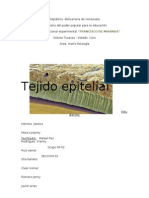 Tejido Epitelial