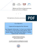 CARPETA DE INVESTIGACIÓN CASO ANA MARGARITA GALVÁN Alias LA NENA SECUESTRO V6 PDF