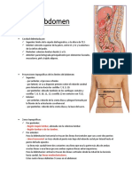 Pared Abdominal