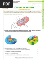 03 Clases de Celulas - Procariotas-Eucariotas PDF