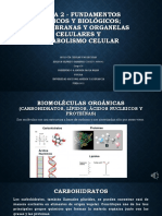 Tarea Dos Fundamentos Químicos y Biológicos