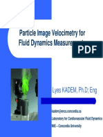 Piv PDF