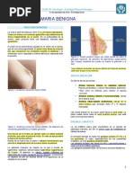 Clase 28 - Oncología - Patología Mamaria Benigna