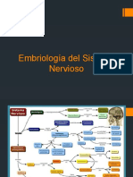 Embriología Del Sistema Nervioso