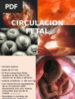 Circulacion Fetal