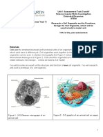 2017 Assessmenttask3and4 Designcellorganelle Taskbrief