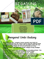 Umbi Gadung