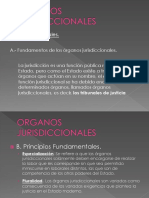 Organos Jurisdiccionales