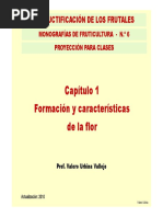 Monografia No 6 Cap. 1. Formacion y Caract. de La Flor