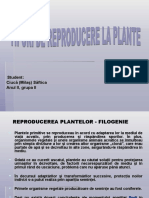 Tipuri de Reproducere La Plante