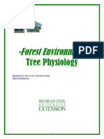 Forest Environment-: Tree Physiology