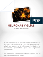 Neuroanatomía de La Neurona y Glías