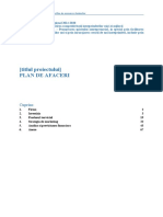 Plan Afaceri PDF