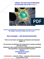 Lec 1 PDF