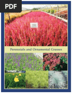 Perennials & Ornamental Grasses - Leo Gentry Nursery