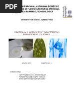 Caracteristicas Fisiologicas de Los Hongos