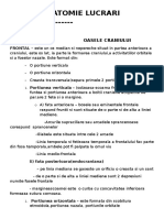 Anatomie Lucrari Practice Sem 1