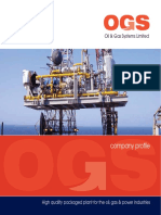 Company Profile: Oil & Gas Systems Limited