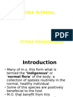 Flora Normal, Pathogenesis of Bacterial Infection