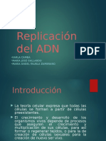 Diapositivas de Biologia Replicacion