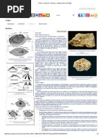 Fósiles - Moluscos - Bivalvos - Región de Murcia Digital PDF